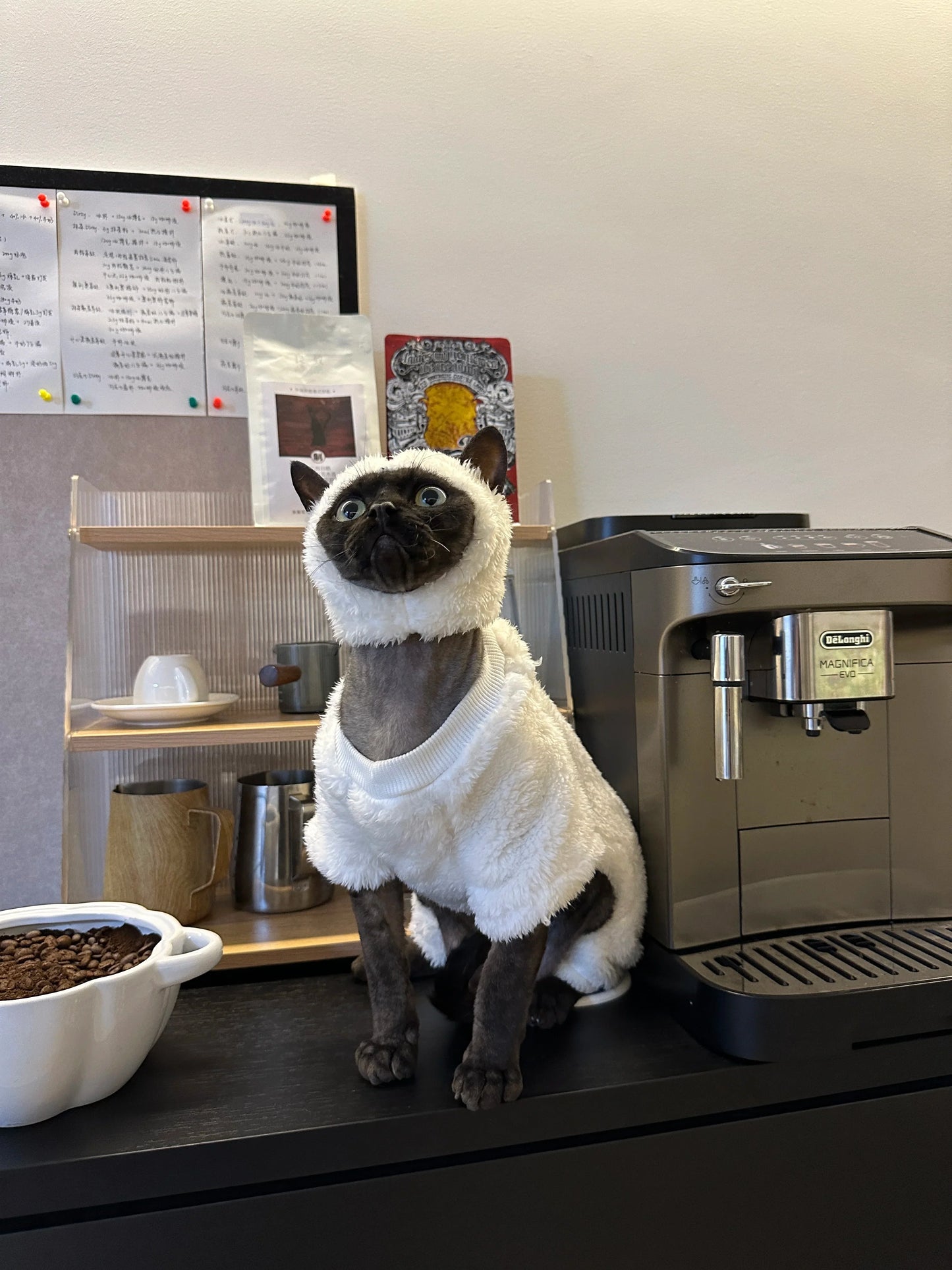 Hairless Cat Clothes Winter Warm Fleece