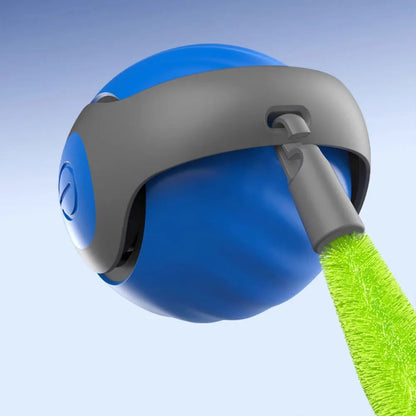 WhiskerWise Cat Ball