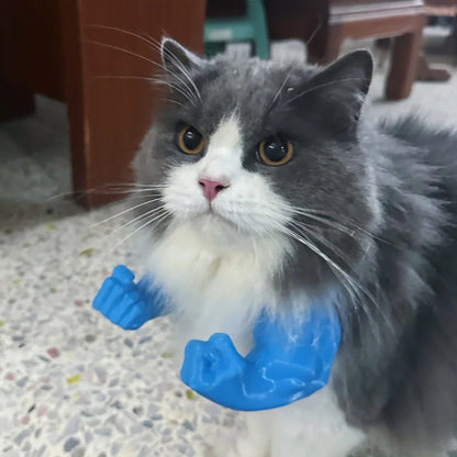 Funny Cat Muscle Arm