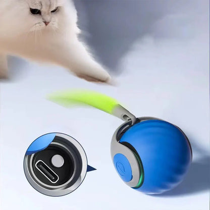 WhiskerWise Cat Ball