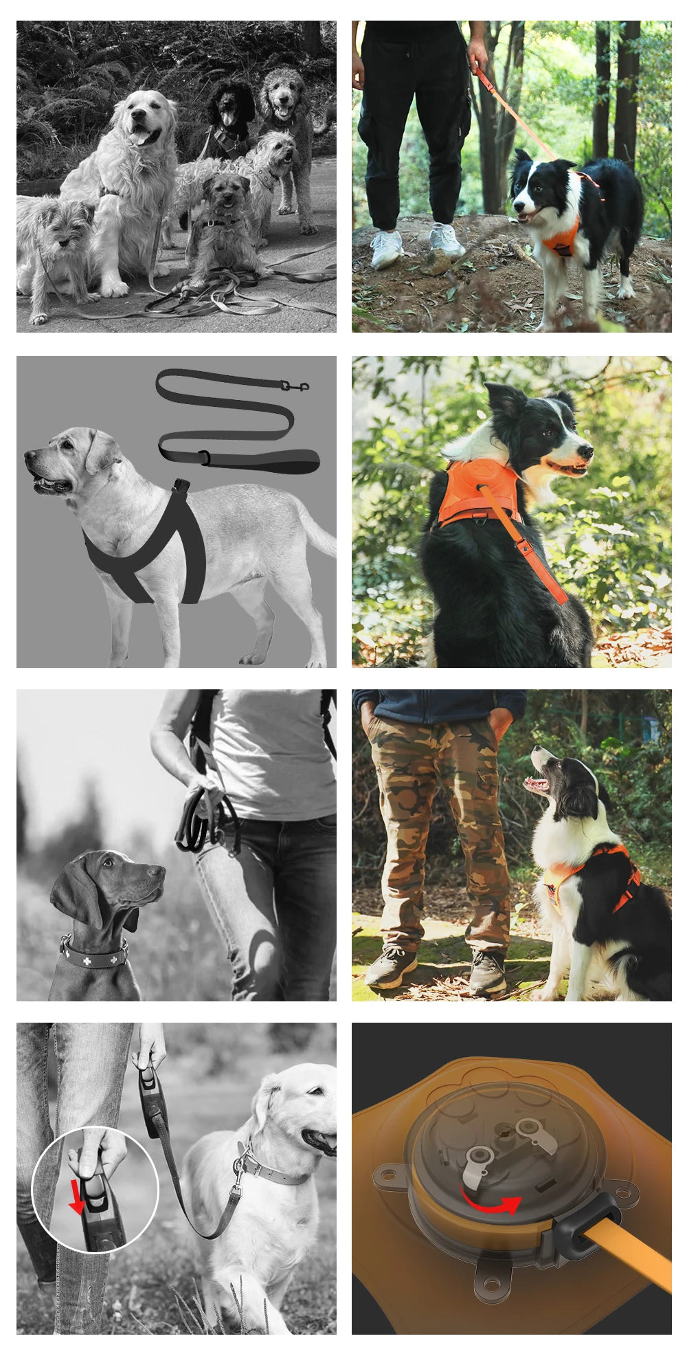 &nbsp;  VentureFlex Pro