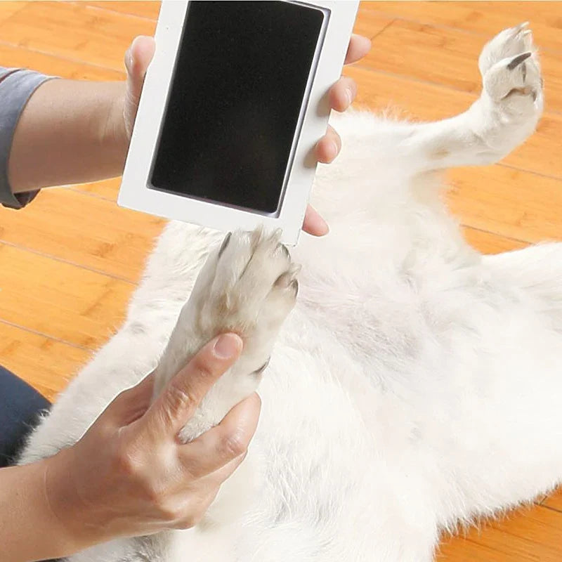 "Inkless Paw & Nose Print Kit