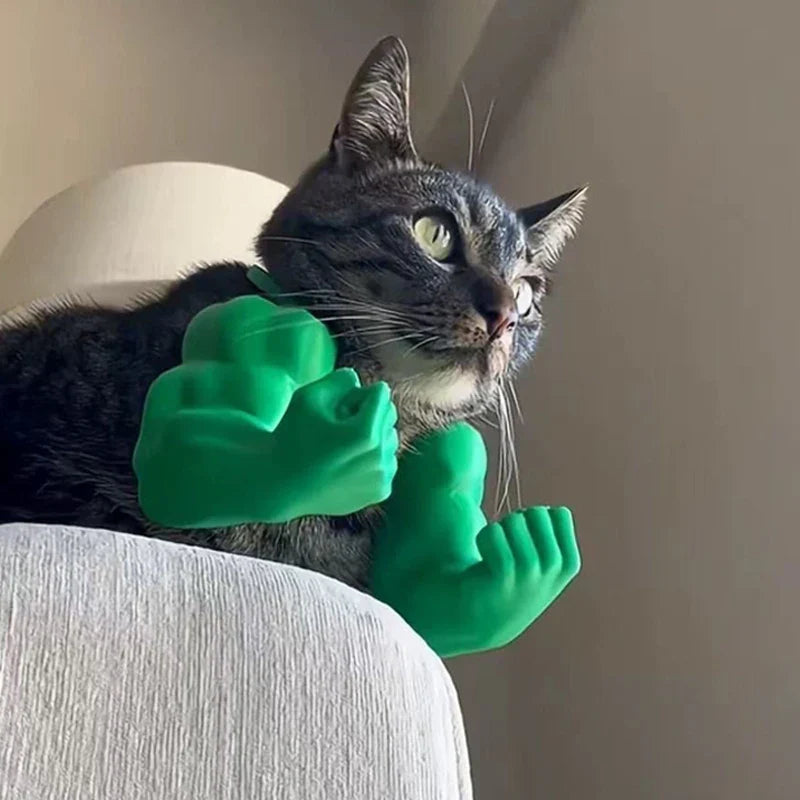 Funny Cat Muscle Arm
