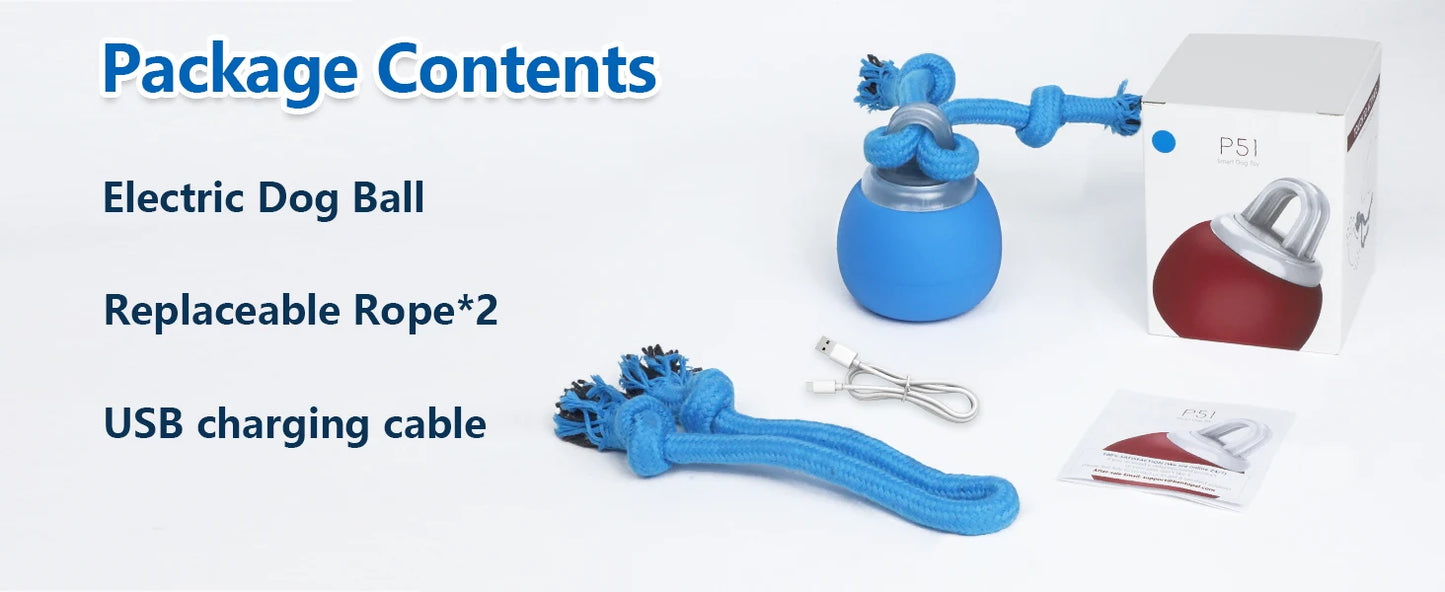 Interactive Moving Dog Ball