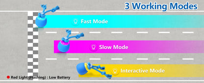 Interactive Moving Dog Ball