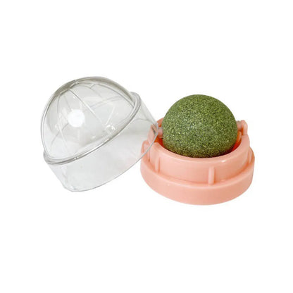 Catnip Toy & Scratcher