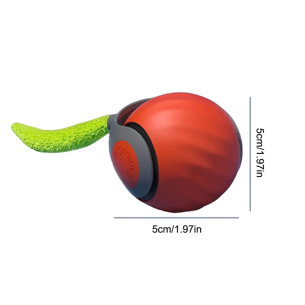 WhiskerWise Cat Ball