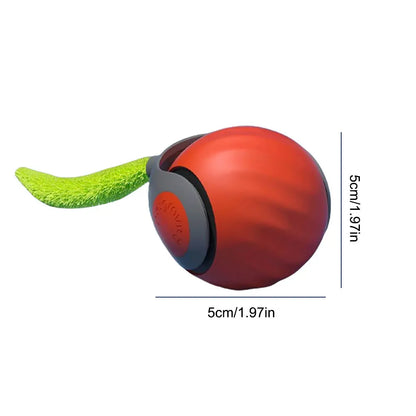 WhiskerWise Cat Ball