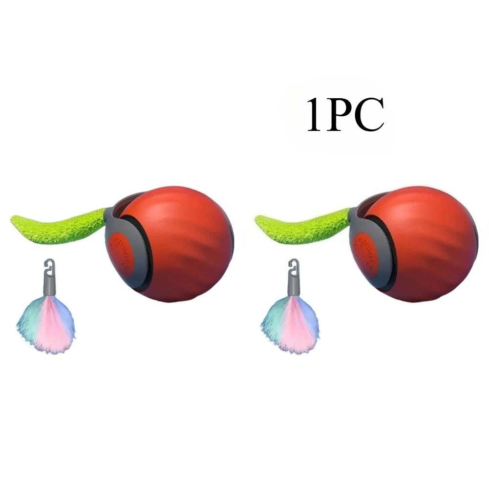 WhiskerWise Cat Ball