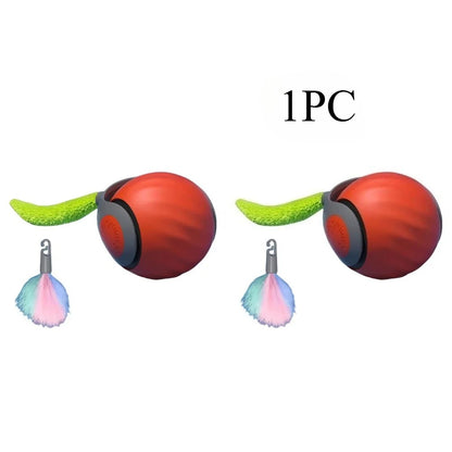 WhiskerWise Cat Ball