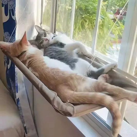 All-Season Window Perch