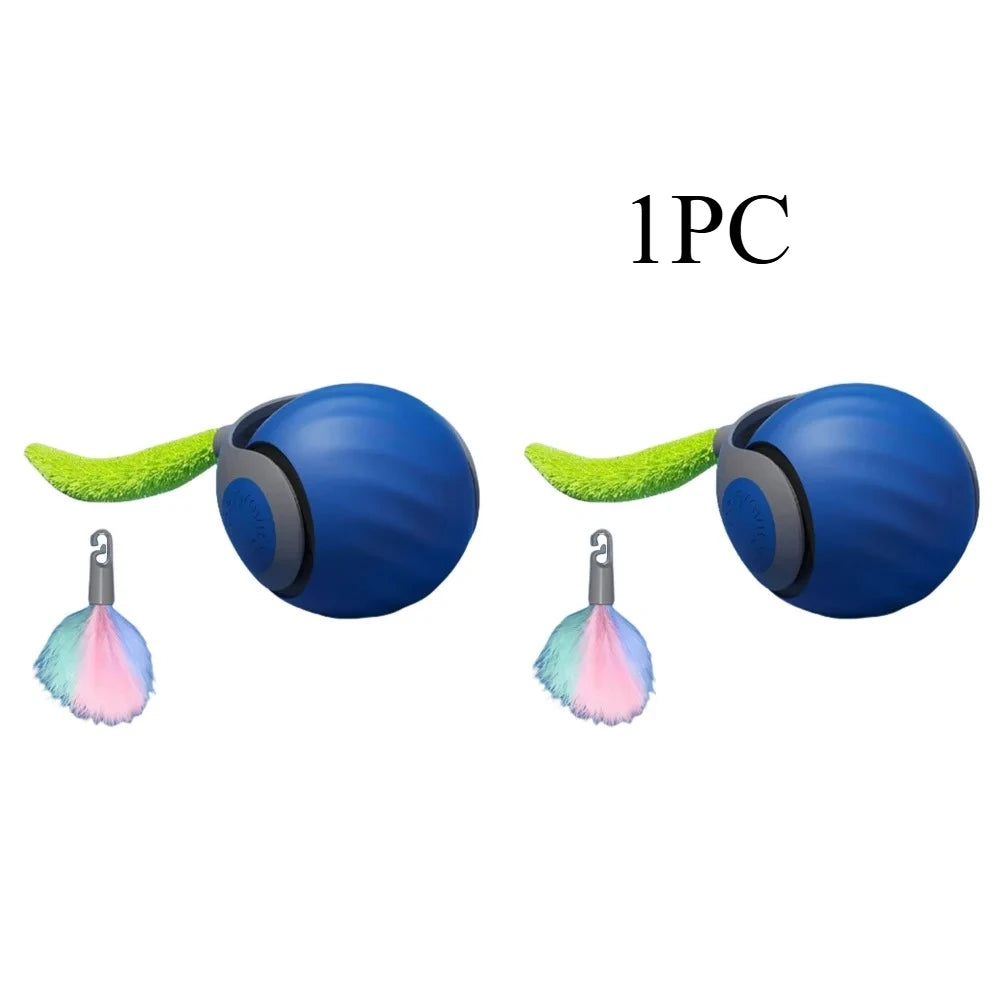 WhiskerWise Cat Ball