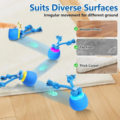 Interactive Moving Dog Ball