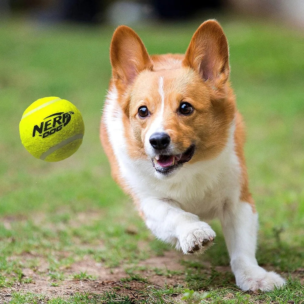 Nerf Dog Large Size Tennis Ball Blaster