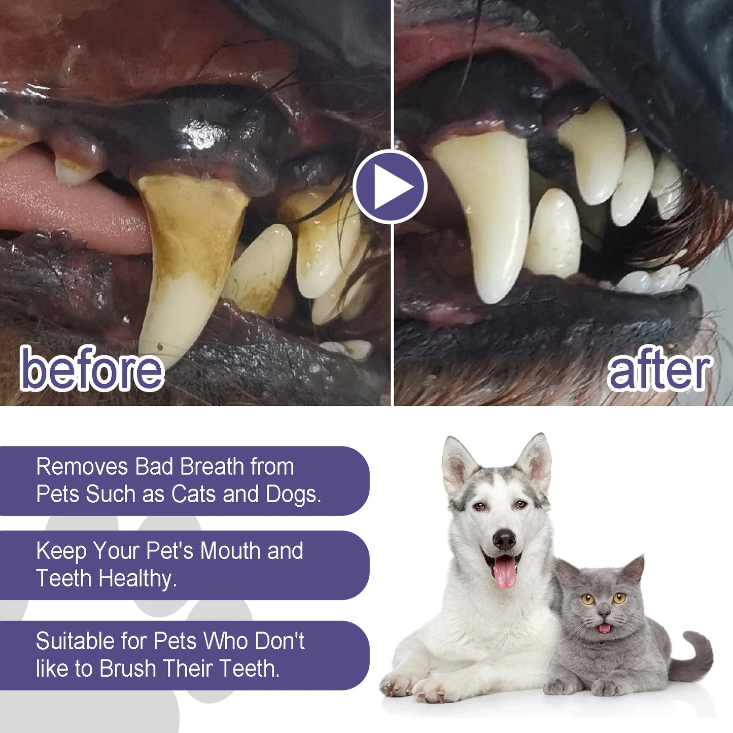 FreshSmile Pro
