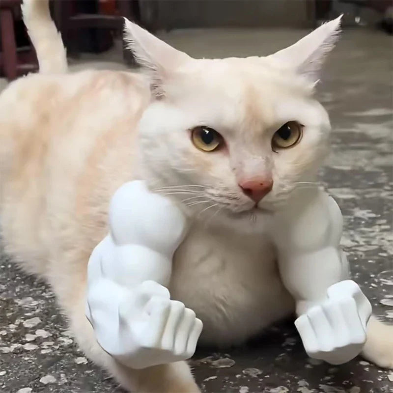 Funny Cat Muscle Arm
