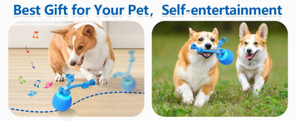 Interactive Moving Dog Ball