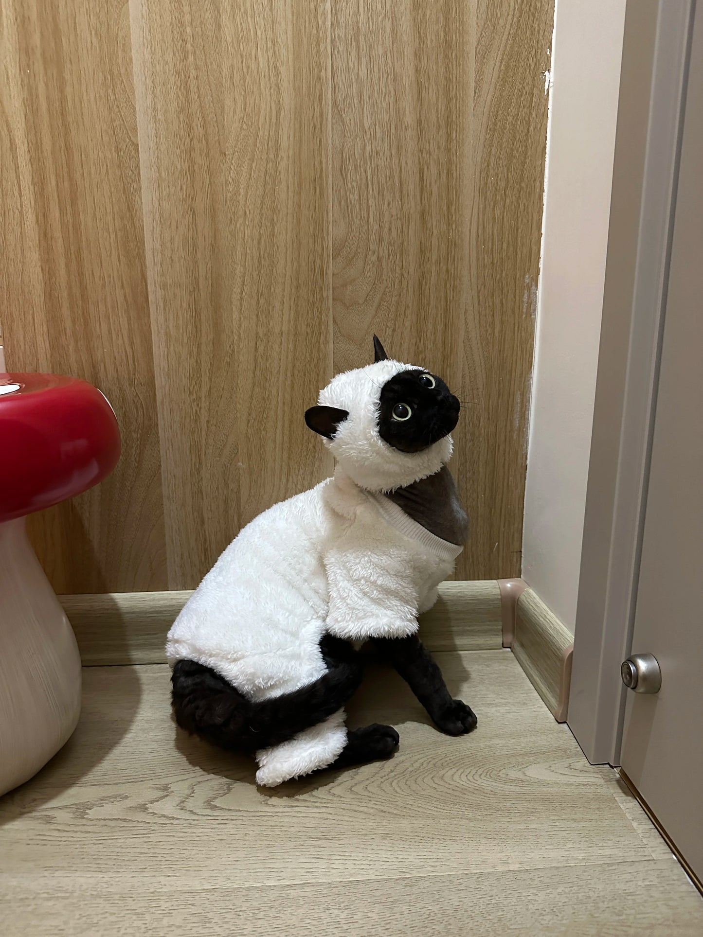 Hairless Cat Clothes Winter Warm Fleece