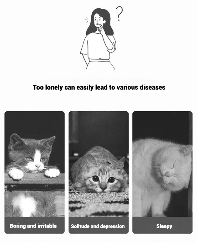 Multi-Pattern Infrared Cat Chaser for Exercise & Training