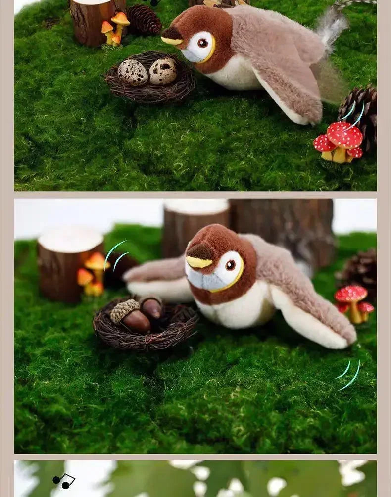 Catnip Electric Pat Bird Toy