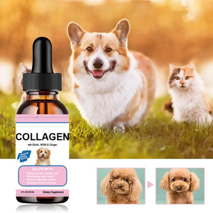 VitaGlow Pet Collagen Drops