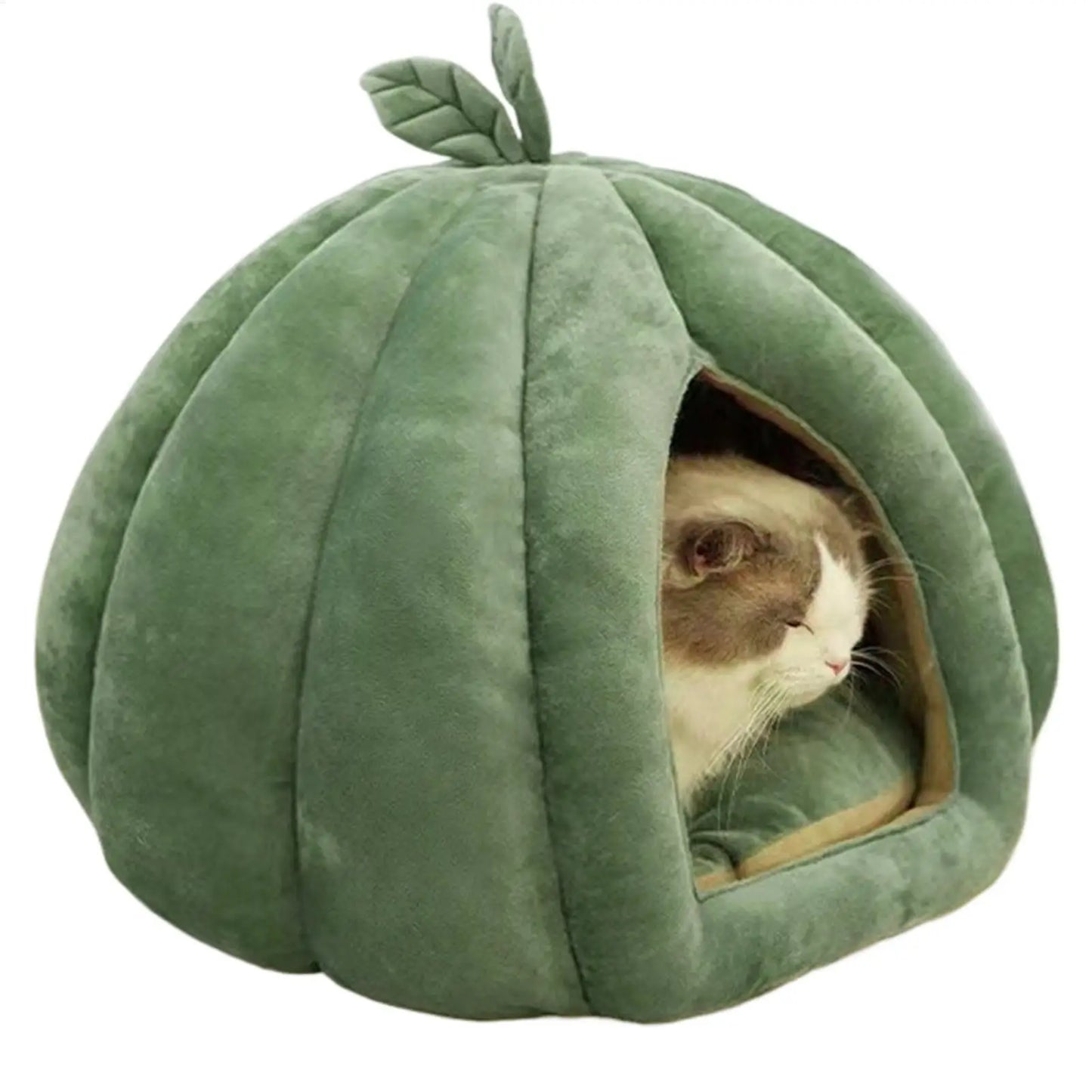 Enclosed Pumpkin Cat Bed