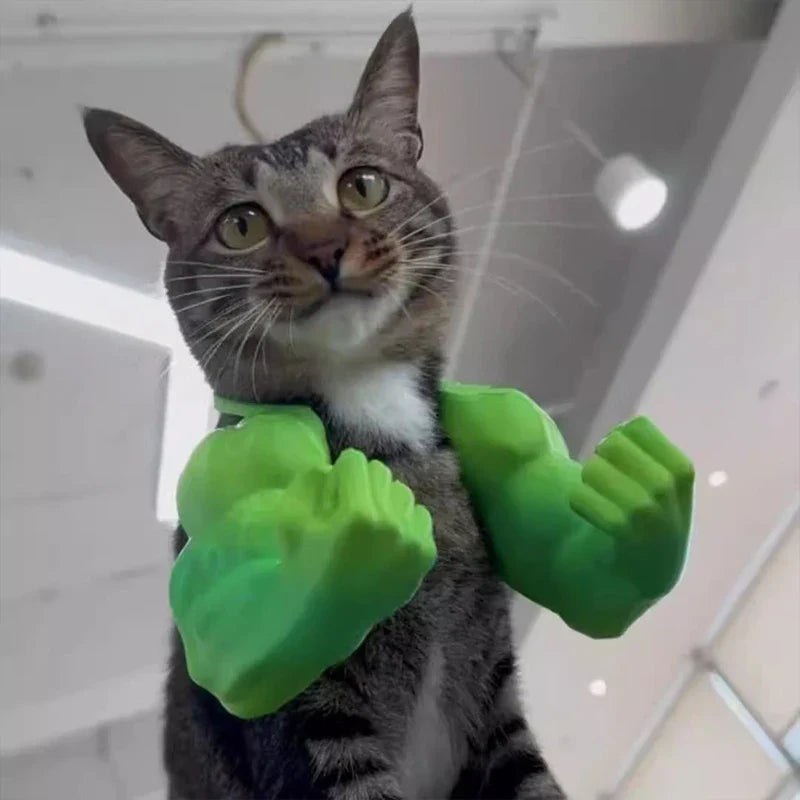 Funny Cat Muscle Arm