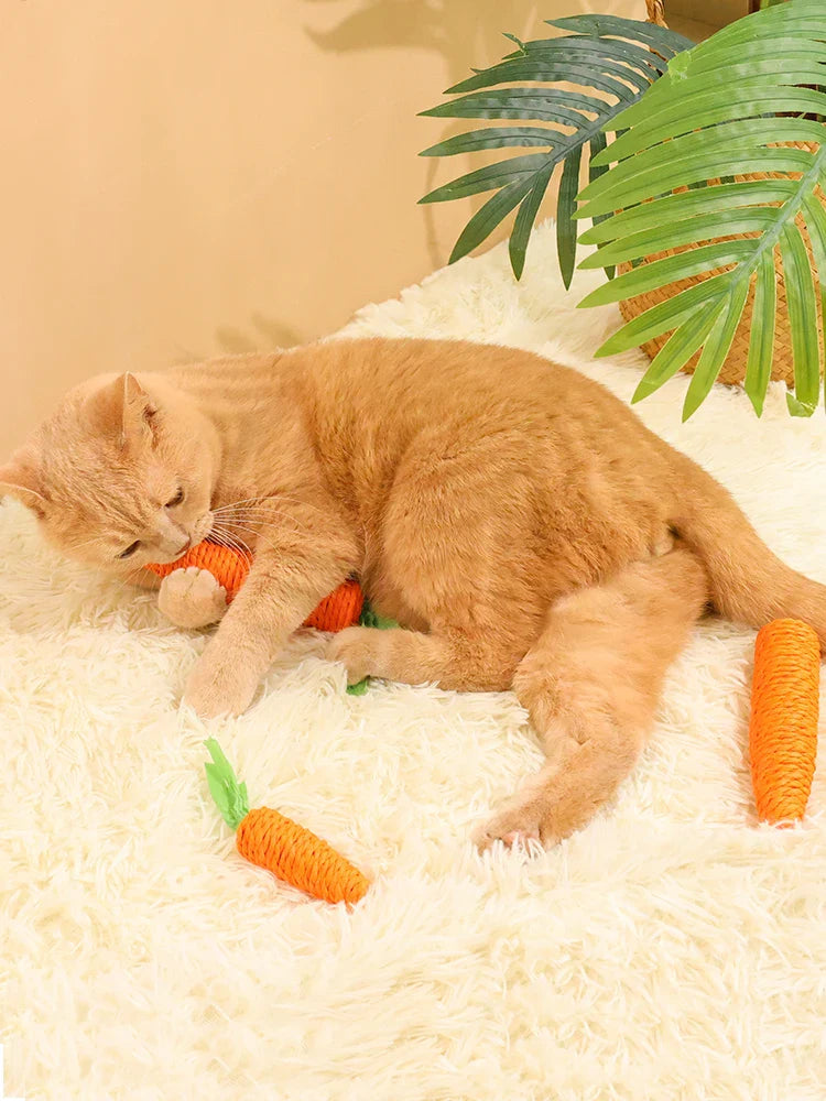 Cat Carrot Teeth Grinding Toy