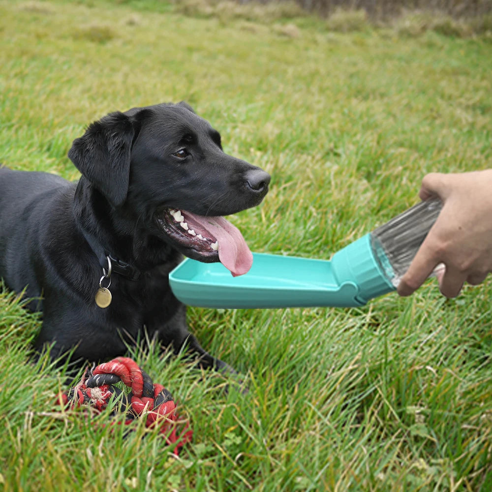 Outdoor Portable Dog Water Bottle