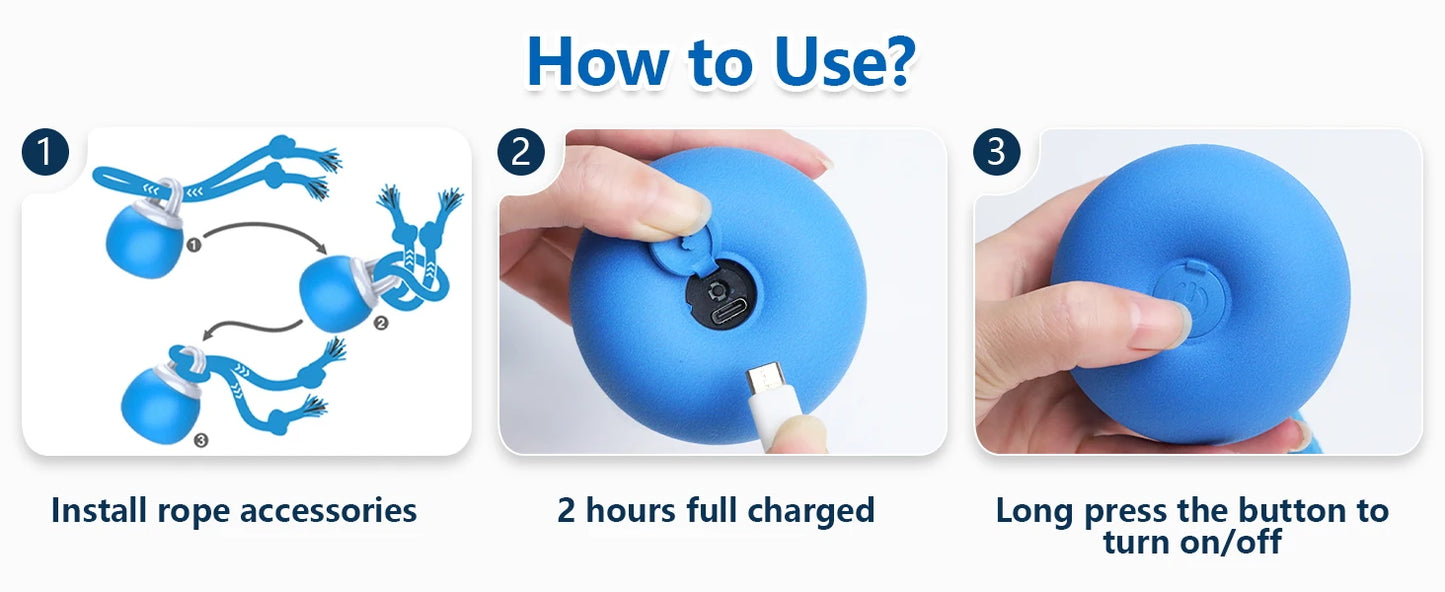 Interactive Moving Dog Ball