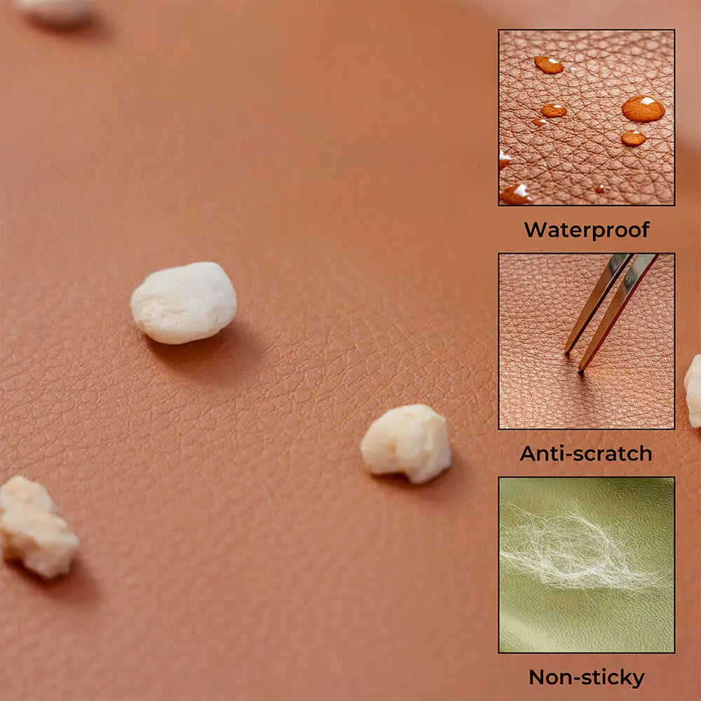 WanderPup Denim Cruise