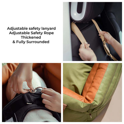 WanderPup Denim Cruise