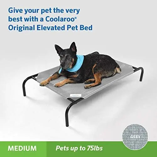 Coolaroo Elevated Dog Bed