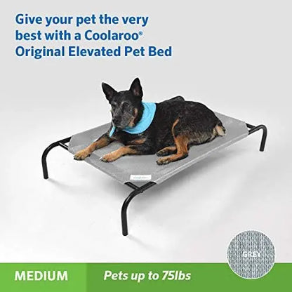 Coolaroo Elevated Dog Bed