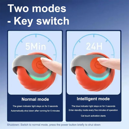 WhiskerWise Cat Ball