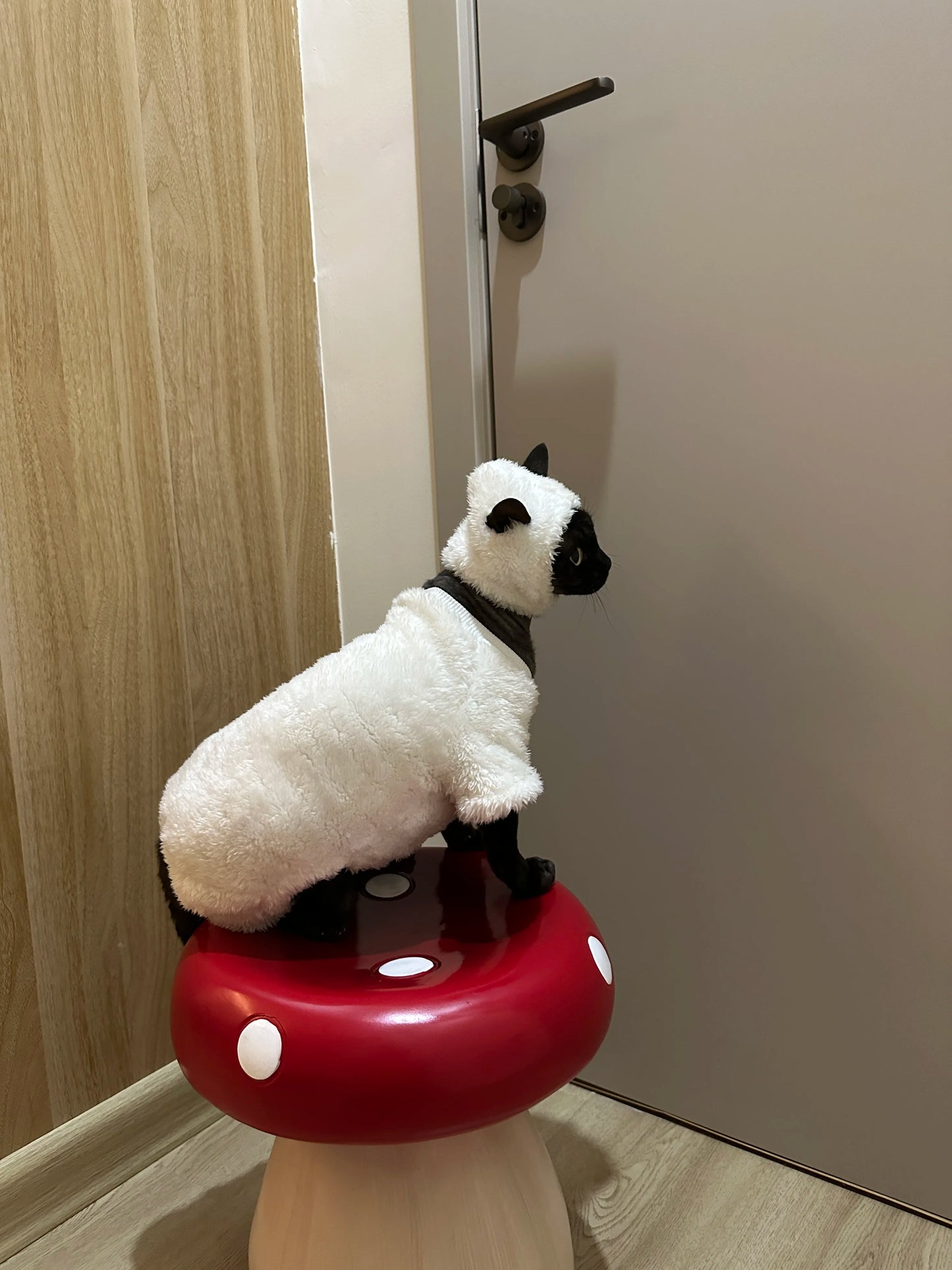 Hairless Cat Clothes Winter Warm Fleece