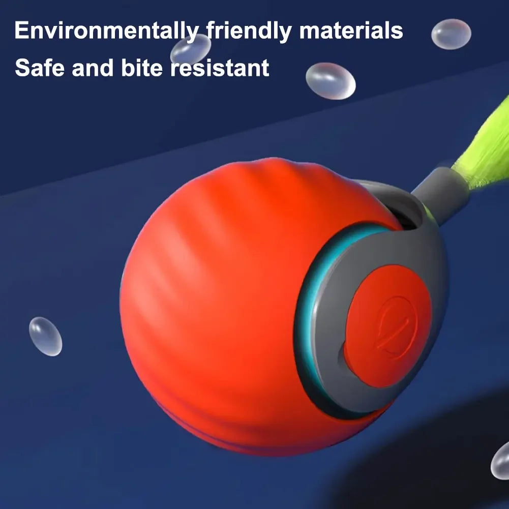 WhiskerWise Cat Ball