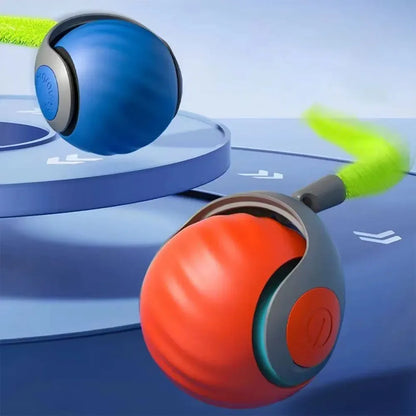 WhiskerWise Cat Ball