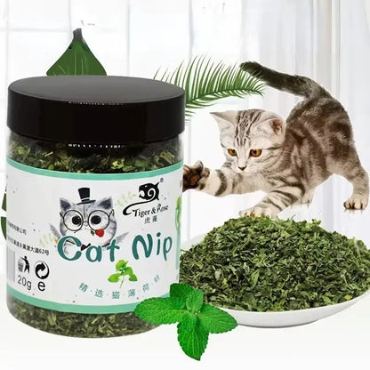 Premium Hot Natural Catnip Cattle Grass Sticks