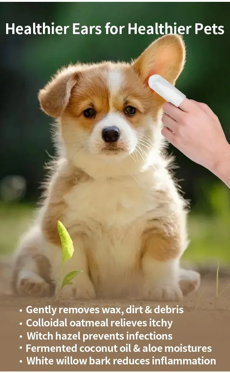 50 PCS Pet Ear Cleaning Kit