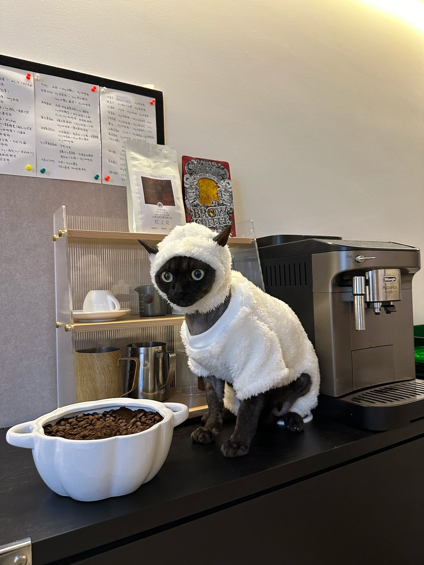 Hairless Cat Clothes Winter Warm Fleece