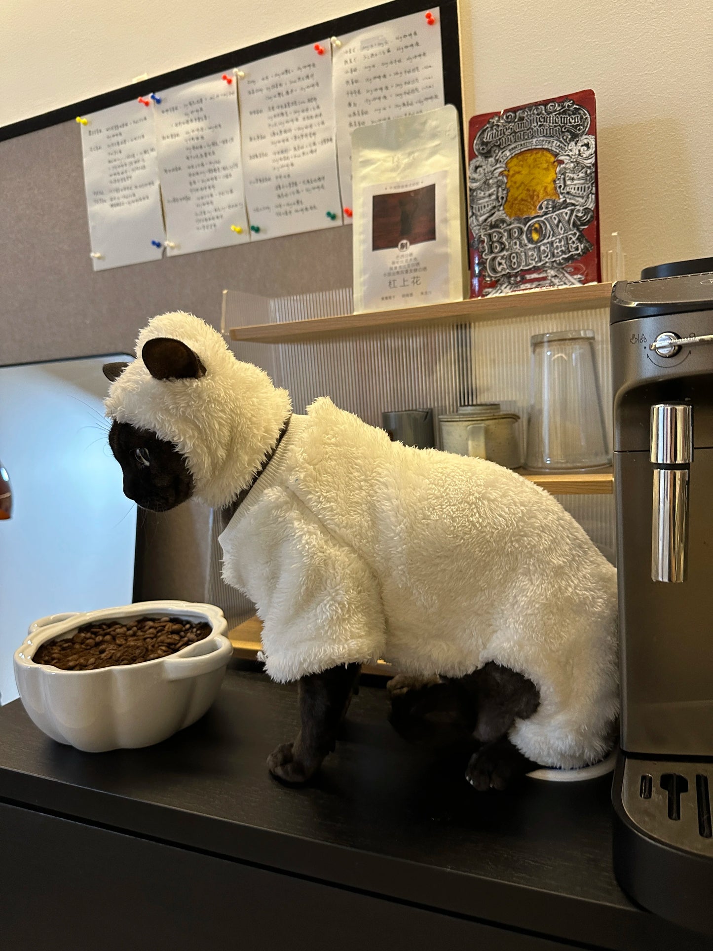 Hairless Cat Clothes Winter Warm Fleece