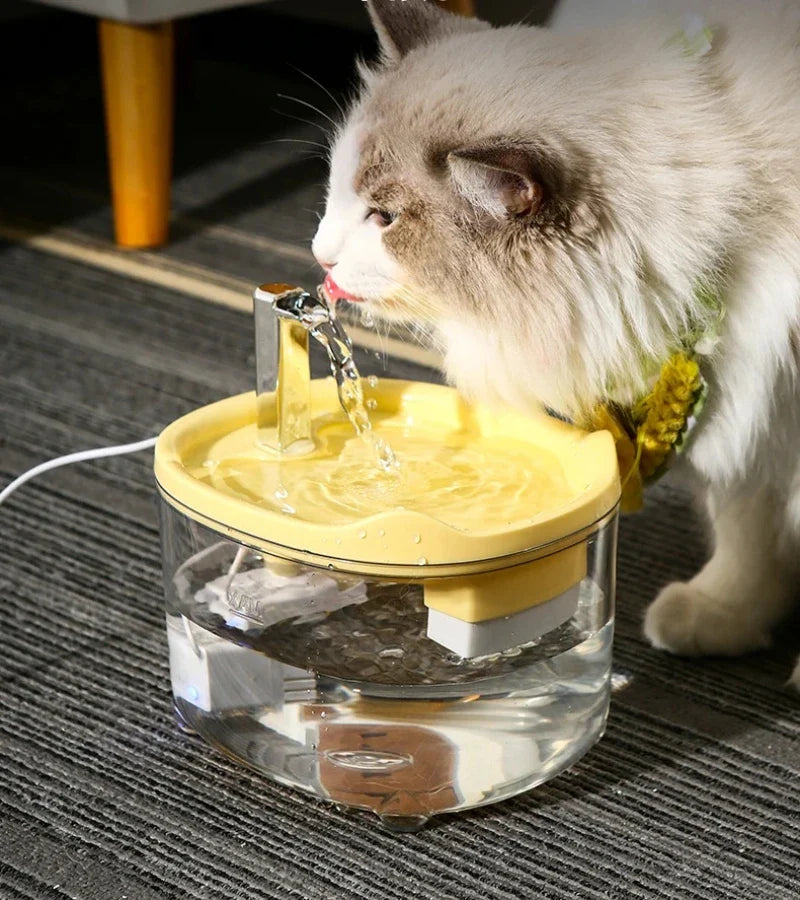 Automatic Cat Water Fountain with 5-Stage Filter