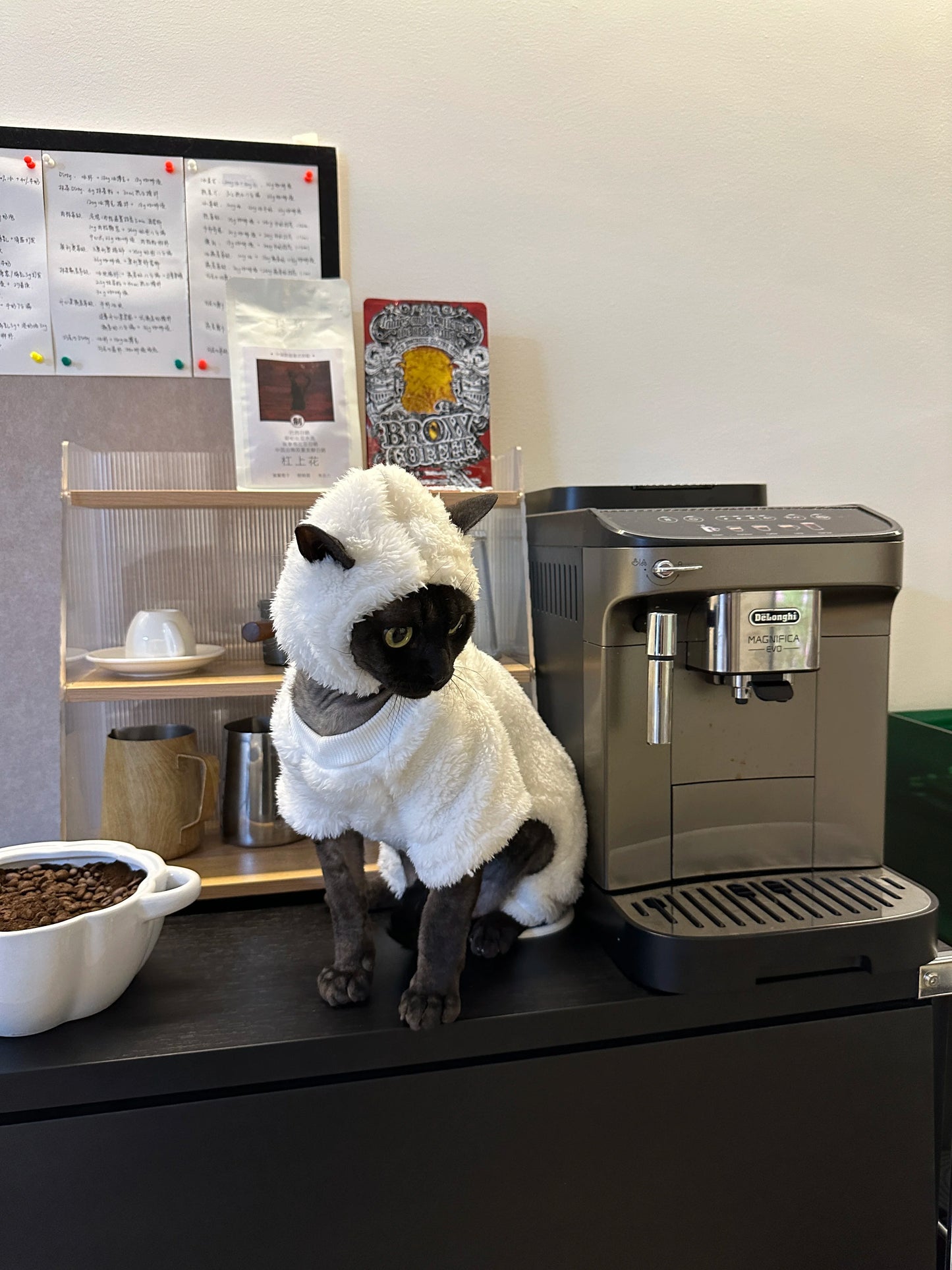 Hairless Cat Clothes Winter Warm Fleece