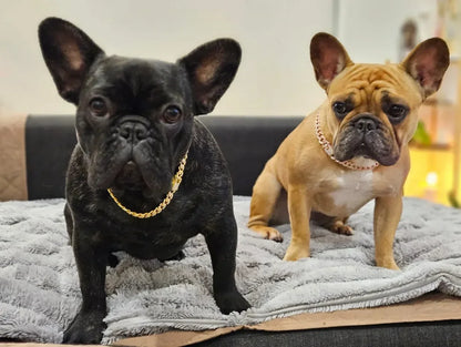 Cuban Link Diamond Collar