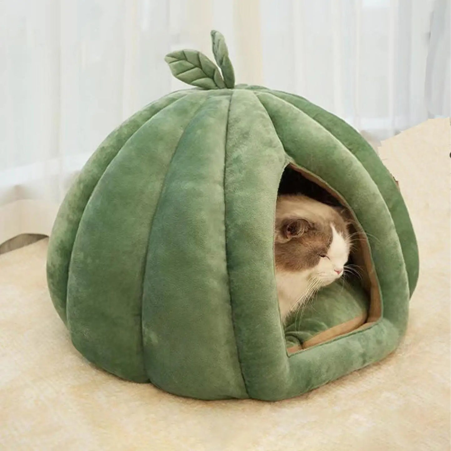 Enclosed Pumpkin Cat Bed