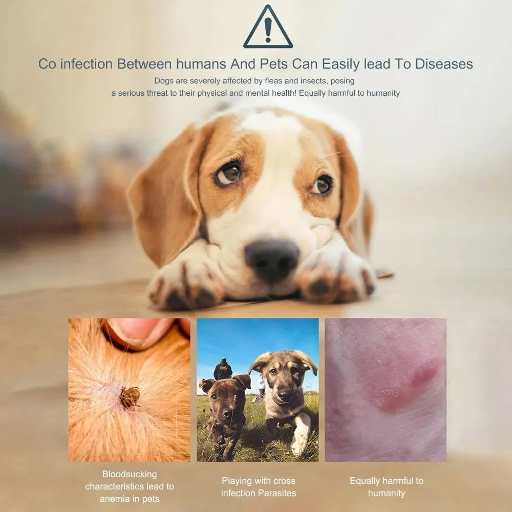 Anti-Parasite Collar