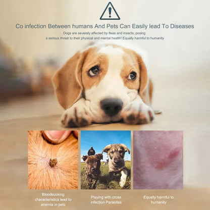 Anti-Parasite Collar