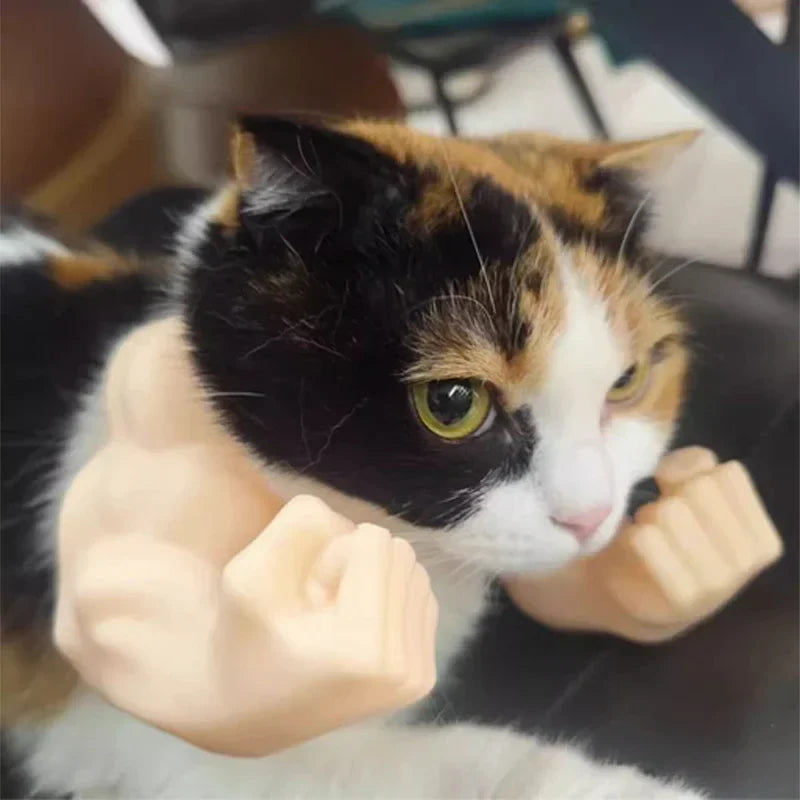 Funny Cat Muscle Arm
