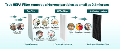 AirPure Smart HEPA Air Purification System